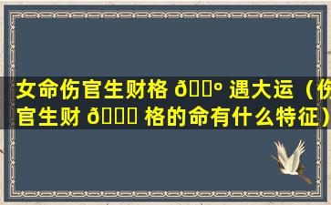 女命伤官生财格 🐺 遇大运（伤官生财 🕊 格的命有什么特征）